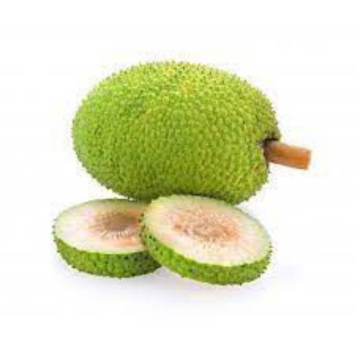 Picture of Breadfruit