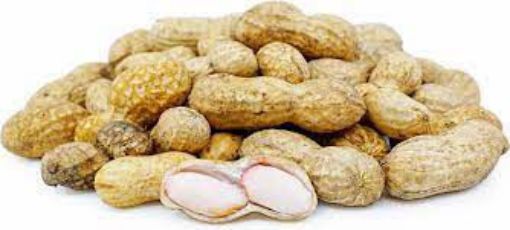 Picture of Fresh Peanut 1lb