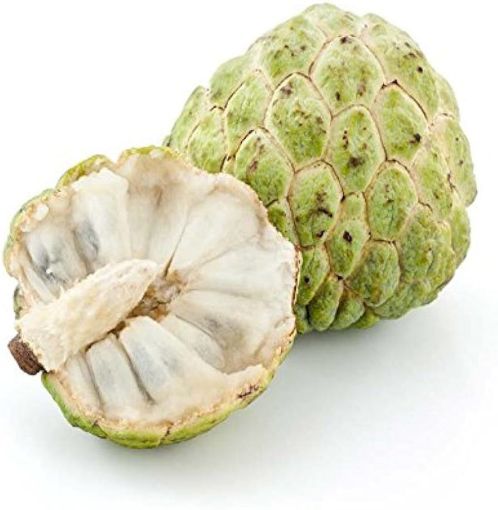 Picture of Custard Apple