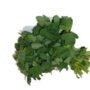 Methi Leaf