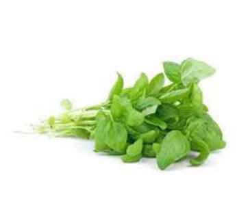 Basil