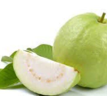 Guava Fruit 1lb