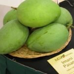 Himayat mangoes