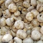 White mushrooms